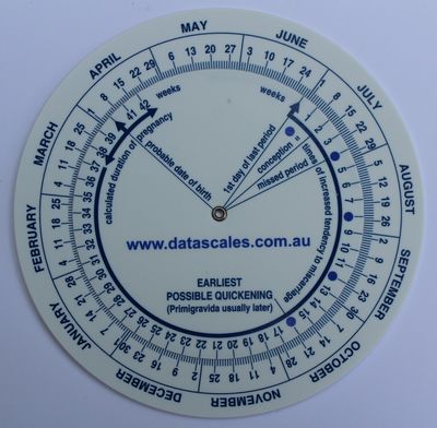 Pregnancy Date Wheel with Datascales website